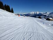 Blauwe piste van Crest Falla naar Canischauna