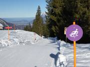 Tip voor de kleintjes  - Rodelpad Furt-Maienberg-Wangs