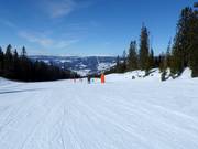 Lichte en brede piste Seter