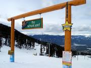 The School Yard Terrain Park voor families bij de Emerald Chair