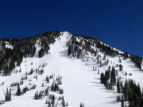 Skigebieden voor gevorderden en off-piste skiërs Western United States – Gevorderden, off-piste skiërs Alta