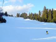 Breed en makkelijk: The Cut