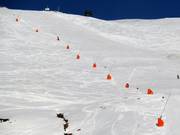 Lanzenbesneeuwing op de Direttissima