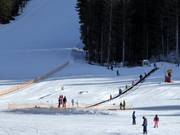 Transportband Dosson