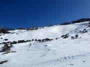 Buckelpiste Central Spur