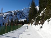 Piste Waldalm-Heimalm