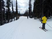 Skiwegen verbinden de verschillende liften in Big White