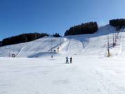 Uitzicht op het raceparcours en de pistes nr. 4 en nr. 3