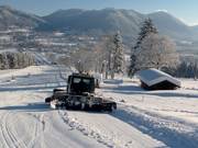 Pistebully aan het werk