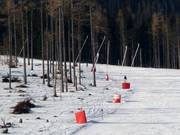 Lanzenbesneeuwing in Tatranská Lomnica