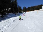 Teddy-Seillift Kinder-Lachtal - Sleeplift/babyllift