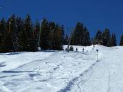 Hinterwieslift - Sleeplift met T-beugel/Ankerlift