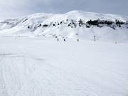 Op de lichte en brede piste bij Ciampac kunnen beginners oefenen.