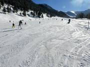 Gemakkelijke Schneeflucht-piste