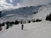 Uitzicht op de pistes van Le Brévent