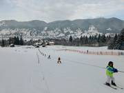 Altweglift - Sleeplift/babyllift