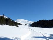 Hoogteloipe "La Muntagnarda"