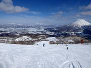 Middelzware piste Center (Grand Hirafu)