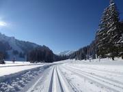 Perfect geprepareerde loipes