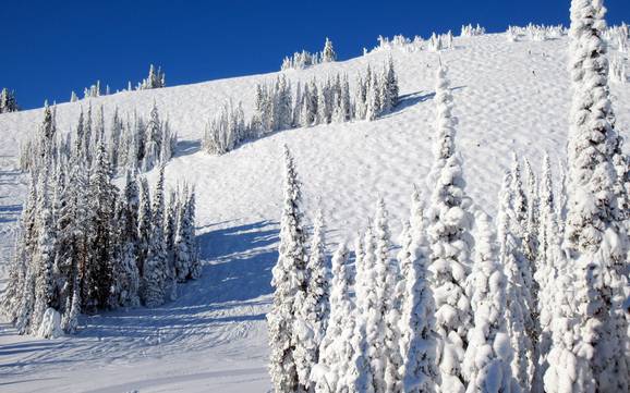 Skigebieden voor gevorderden en off-piste skiërs Interior Plateau – Gevorderden, off-piste skiërs Sun Peaks