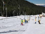 Panica B - Pannenkoeklift