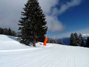 Lanzenbesneeuwing in Laax