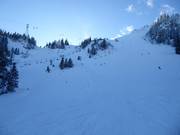 De zwarte wereldbekerafdaling