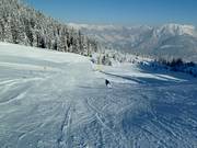 Afdaling vanaf de Burtschasattel