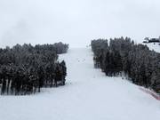 Moeilijke afdaling Wolverine