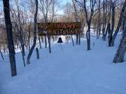 Tip voor de kleintjes 