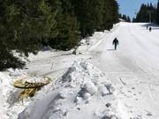 #10 Snezhanka - Sleeplift/babyllift