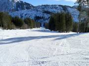 Gemakkelijke Gammeringafdal