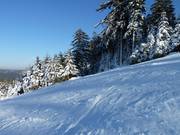Geprepareerde piste bij de Mehliskopf