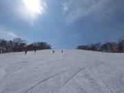 Brede piste Steamboat B