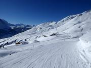 Uitzicht over Schreckfeld tot aan First