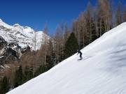 Zwarte piste Grünboden