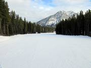 Brede en eenvoudige pistes bij de tweezitsstoeltjeslift Bronze Chair
