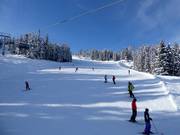 Höfi-afdaling op de Hauser Kaibling