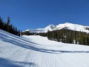 Gemakkelijke piste Mr. K