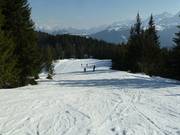 Piste bij de Sattelkurvenlift