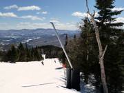 Lansbesneeuwing op de afdalingen