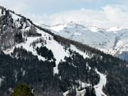 Bosafdalingen in Ayre Barèges