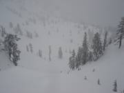 Afdaling Upper International