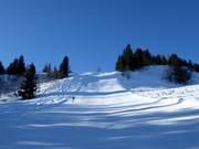 Zwarte piste Arvenegg