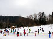 Oefengebied naast de rodelbaan