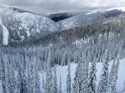 Uitzicht over de bosafdalingen (Gladed Runs)