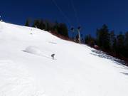 Zwarte piste Piculin