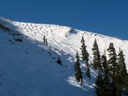 Steile buckelpistes in de Pallavicini Bowl