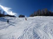 Burgstallalmafdaling op de Planai