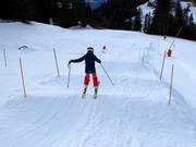 Wavebaan in Ochsengarten